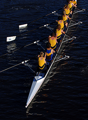 포토 JPG 해외이미지 남자 스포츠 포즈 안테나 사람없음 운동 경쟁 보트 승무원 노 노젓기 줄서기 해외202004 해외포토 직업 컨셉 배_교통 통신 모션 건강 사람 선박 파일형식 이미지허브