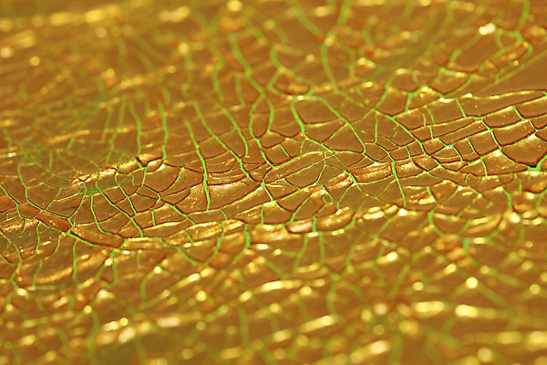 포토 JPG 해외이미지 디자인 외관 벽 조각 패턴 건축양식 벽지 표면 날씨 흑백 사람없음 건물 페인트 손상 수확 골동품 시골 도시 거친 그리기 황금 묘사 질감 먼지 그런지 깨짐 옛날 울퉁불퉁 콘크리트 노화 해외202004 해외포토 건축물 건축 컨셉 무늬 농업 모션 촬영기법 파일형식 이미지허브