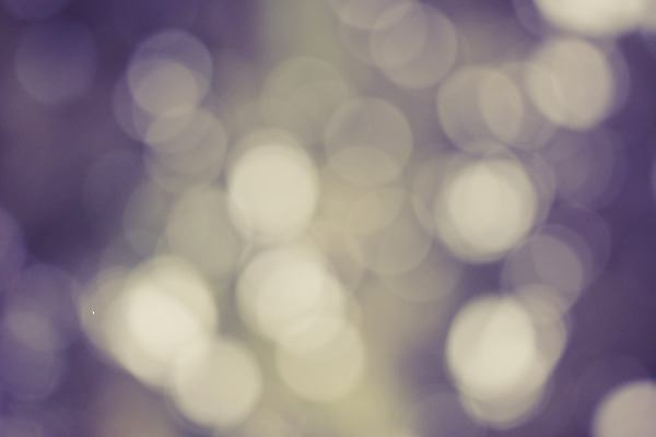 포토 JPG 해외이미지 식물 디자인 계절 백그라운드 잎 크리스마스 패턴 자연 하늘 추상 사람없음 빨간색 초록색 여름 빛 컬러풀 햇빛 환경 맑음 봄 활발 소프트포커스 숲 질감 보케 부드러움 내추럴 광 블러 생태학 효과 해외202004 해외포토 교육 기념일 컬러 컨셉 무늬 날씨 촬영기법 태양 감각 생태계 파일형식 이미지허브