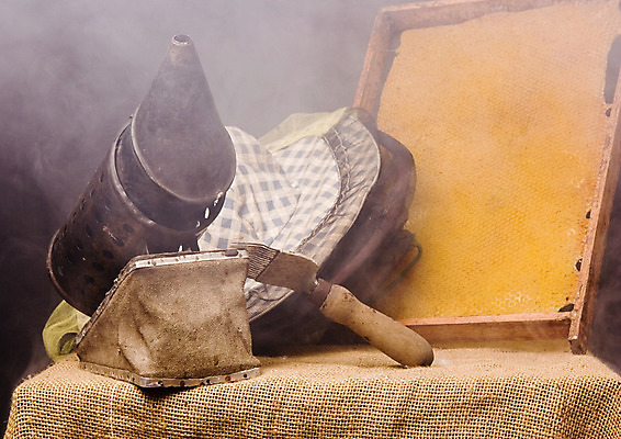 포토 JPG 해외이미지 야생동물 음식 곤충 백그라운드 패턴 자연 건조 건강 사람없음 농장 노란색 건강관리 숟가락 흐름 황금 달콤 떨어짐 스케치 벌 육각형 꿀 건강식 벌집 밀랍 왁스 해외202004 해외포토 도형 동물 컬러 컨셉 무늬 농업 수저 관리 미술 맛 생태계 파일형식 이미지허브