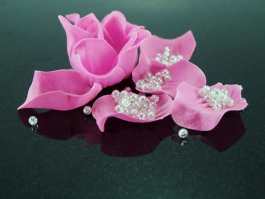 포토 JPG 해외이미지 꽃잎 분홍색 사람없음 장미 해외202004 해외포토 꽃 컬러 파일형식 이미지허브