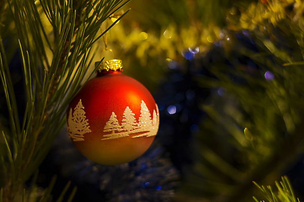 포토 JPG 해외이미지 나무 전통 계절 길 백그라운드 크리스마스 겨울 패턴 공 추상 휴가 매달리기 그림자 사람없음 장식 빨간색 빛 반짝임 장난감 산타클로스 노란색 파티 축제 장식볼 흰색 나뭇가지 축하 소나무 원형 닫기 12월 연도 오브젝트 노엘 여의주 가문비나무 클라우스 해외202004 해외포토 도형 식물 기념일 컬러 컨셉 무늬 모션 이벤트 날짜 파일형식 이미지허브