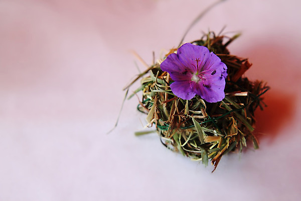 포토 JPG 해외이미지 접시 꽃 리본 결혼 포크 꽃무늬 탁자 결혼식 이벤트 사람없음 장식 초록색 동전 흰색 축하 신용카드 배열 먹기 설정 접수 정중 해외202004 해외포토 식물 식기 컬러 가구 컨셉 돈 무늬 모션 금융 파일형식 이미지허브