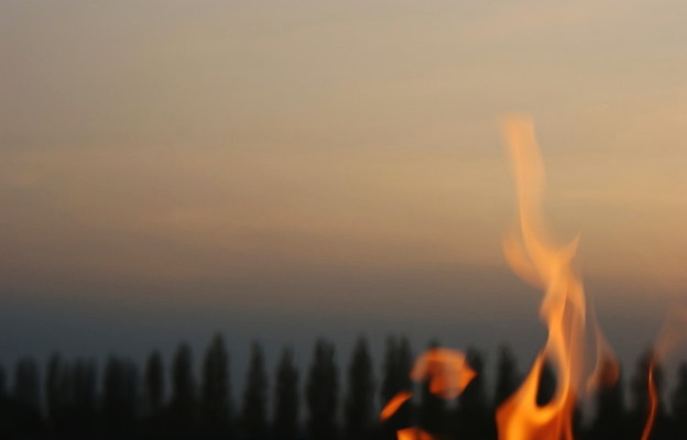 포토 JPG 해외이미지 나무 컨셉 하늘 불 날씨 추상 불꽃 따뜻함 요리 사람없음 여름 황혼 뜨거움 야간 바비큐 해외202004 해외포토 자연요소 식물 계절 음식 무늬 일몰 파일형식 이미지허브