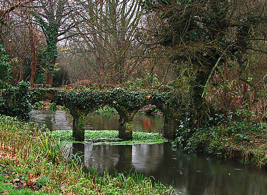 포토 JPG 해외이미지 나무 공원 잎 겨울 잉글랜드 사람없음 물 강 반사 젖음 아이비 해외202004 해외포토 자연요소 식물 계절 공공시설 영국 파일형식 이미지허브