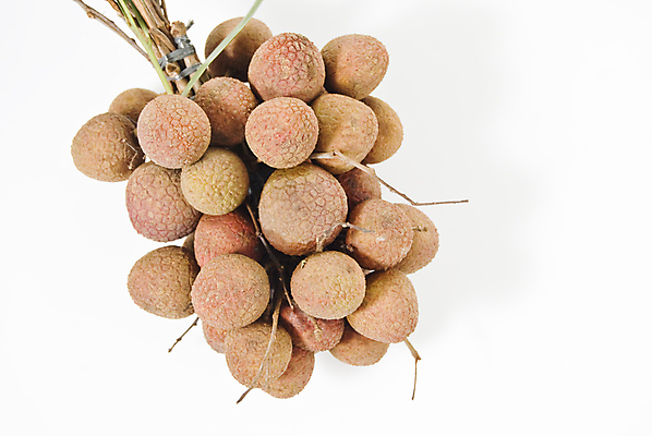 포토 JPG 해외이미지 모양 열매 아시아 음식 분홍색 백그라운드 농업 다이어트 과일 태국 건강 동양인 사람없음 여름 갈색 쌓기 중국 사막 나뭇가지 신선 원형 거친 달콤 맛 아침식사 다발 피부 오브젝트 질감 이국적 해외202004 해외포토 도형 나무 식물 계절 나라 산업 컬러 컨셉 모션 인종 신체부위 식사 파일형식 이미지허브