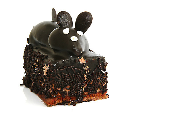 포토 JPG 해외이미지 음식 조각 디저트 사람없음 갈색 케이크 초콜릿 빵집 흰색 신선 달콤 맛 쥐 굽기 크림 오브젝트 고립 페스츄리 해외202004 해외포토 빵 컬러 컨셉 상점 설치류 구이 파일형식 이미지허브