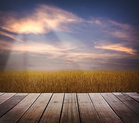 포토 JPG 해외이미지 식물 구름 계절 백그라운드 밭 농업 자연 하늘 풍경 잔디 사람없음 야외 목재 초록색 여름 햇빛 농장 일출 환경 일몰 봄 새벽 활발 성장 시골 신선 황금 땅 평야 해외202004 해외포토 자연요소 나무 산업 컬러 컨셉 재료 태양 노을 생태계 파일형식 이미지허브