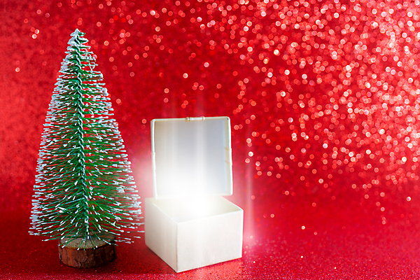 포토 JPG 해외이미지 나무 전통 디자인 계절 리본 백그라운드 크리스마스 겨울 휴가 새로움 선물 사람없음 장식 초록색 빛 상자 축제 장식볼 덮개 흰색 축하 소나무 12월 연도 마법 전나무 해외202004 해외포토 식물 기념일 컬러 컨셉 뚜껑 날짜 파일형식 이미지허브