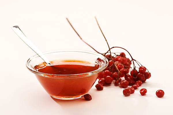 포토 JPG 해외이미지 열매 음식 유리 건강 사람없음 나뭇가지 사발 발사 잼 해외202004 해외포토 나무 식물 재질 사기그릇 소스_음식 파일형식 이미지허브