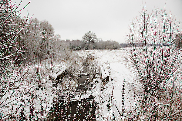포토 JPG 해외이미지 나무 계절 공원 도로 선 여행 백그라운드 겨울 자연 하늘 날씨 휴가 산 풍경 사람없음 야외 목재 파란색 빛 햇빛 태양 여행객 정원 얼음 일몰 하이킹 추위 흰색 나뭇가지 시골 소나무 숲 12월 서리 러시아 장면 지역 눈보라 눈내림 해외202004 해외포토 자연요소 식물 공공시설 유럽 길 컬러 재료 교통시설 레저 눈_날씨 사람 노을 날짜 생태계 파일형식 이미지허브
