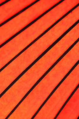 포토 JPG 해외이미지 전통 디자인 아시아 종이 문화 여행 백그라운드 패턴 오렌지 우산 전등 동양인 사람없음 목재 장식 빨간색 세로 여름 컬러풀 반사 일본 맑음 검은색 수확 막대기 도쿄 그늘 배열 대나무 묘사 오브젝트 질감 양산 빈티지배경 동쪽 가림막 고립 해외202004 해외포토 나무 계절 나라 컬러 무늬 농업 과일 재료 날씨 조명 인종 빈티지 방향 파일형식 이미지허브