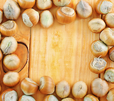 포토 JPG 해외이미지 프레임 실내 사람없음 견과류 헤이즐넛 나무배경 해외202004 해외포토 백그라운드 내부 파일형식 이미지허브