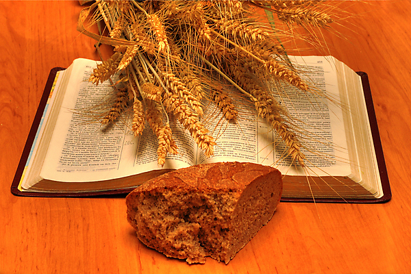 포토 JPG 해외이미지 식물 기독교 종교 음식 조각 텍스트 새로움 사람없음 책 단어 갈색 교회 성경 예수 시리얼 밀 심볼 밀가루 번 해외202004 해외포토 문자 빵 컬러 컨셉 종교용품 곡류 신_종교 가루 파일형식 이미지허브