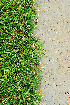 포토 JPG 해외이미지 식물 외관 계절 벽 패턴 밭 건축양식 자연 벽지 표면 바닥 주택 실내 건강 그림자 사람없음 야외 내부 장식 초록색 여름 컬러풀 갈색 우주 정원 화목 공백 수확 바위 도시 얼룩 거친 만족 질감 복고 시멘트 생태학 콘크리트 해외202004 해외포토 교육 건축 감정 컬러 컨셉 무늬 농업 건물 돌_바위 생태계 파일형식 이미지허브