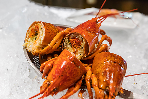 포토 JPG 해외이미지 동물 음식 바다 백그라운드 다이어트 조개 건강 갑각류 요리 사람없음 목재 빨간색 냉동 얼음 축제 식사 저녁식사 신선 시장 고급 우아함 바닷가재 가득함 해산물 만족 유기농 날것 삶기 집게발 해외202004 해외포토 자연요소 나무 웰빙 감정 컬러 컨셉 재료 어패류 가재 파일형식 이미지허브