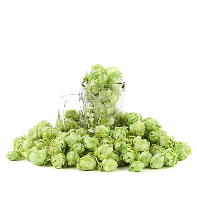 포토 JPG 해외이미지 실내 사람없음 쌓기 가득함 흰배경 담기 맥주잔 해외202004 홉 해외포토 식물 백그라운드 술잔 모션 내부 흰색 파일형식 이미지허브