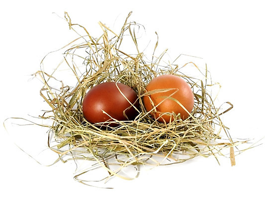 포토 JPG 해외이미지 전통 계절 꽃 문화 음식 2 휴가 부활절 사람없음 장식 컬러풀 노란색 계란 봄 껍질 흰색 축하 축복 둥지 아침식사 심볼 거베라 고립 삶기 취급주의 해외202004 해외포토 식물 기념일 컬러 컨셉 경고 알 식사 파일형식 이미지허브