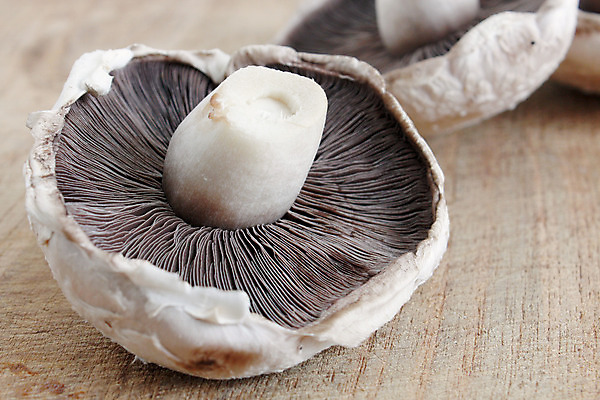 포토 JPG 해외이미지 음식 다이어트 채소 재료 자연 건강 3 요리 사람없음 목재 세로 갈색 주방 식사 저녁식사 버섯 가을 흰색 신선 플랫 맛 숲 큼 낟알 자르기 먹기 묘사 만족 유기농 날것 내추럴 고립 곰팡이 식용 채식주의자 캡모자 많음 해외202004 해외포토 나무 모자_잡화 웰빙 계절 감정 컬러 컨셉 모션 크기 생태계 채식 파일형식 이미지허브