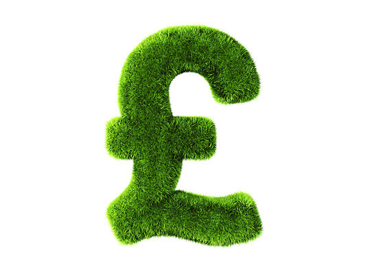 포토 JPG 해외이미지 식물 실루엣 유럽 백그라운드 컨셉 돈 일러스트 비즈니스 자연 성공 추상 잉글랜드 건강 미술 사람없음 초록색 여름 금융 경제 태양 3D 환경 화목 봄 성장 흰색 신선 시장 보호 심볼 투자 상업 만들기 파운드 내추럴 고립 생태학 효과 해외202004 해외포토 자연요소 계절 교육 나라 컬러 무늬 모션 문화예술 영국 촬영기법 재산 디지털합성 생태계 파일형식 이미지허브