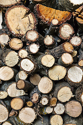 포토 JPG 해외이미지 모양 나무 선 조각 백그라운드 패턴 부분 자연 표면 불 날씨 추상 사람없음 목재 갈색 환경 반지 원형 닫기 장작 자르기 다발 묘사 준비 유기농 질감 슬라이스 통나무 나무껍질 난방 잡동사니 내추럴 수목 옛날 해외202004 해외포토 자연요소 도형 식물 웰빙 컬러 무늬 재료 장신구 모션 껍질 생태계 파일형식 이미지허브