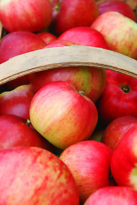 포토 JPG 해외이미지 과일 자연 건강 사람없음 빨간색 수확 가을 신선 사과 먹기 에코 날것 바이오 해외202004 해외포토 계절 컬러 농업 모션 환경 생태계 파일형식 이미지허브