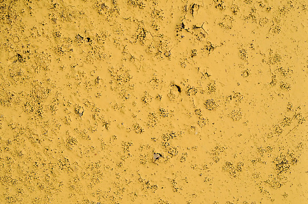 포토 JPG 해외이미지 벽 백그라운드 벽지 표면 날씨 추상 사람없음 빛 노란색 페인트 손상 수확 바위 구멍 거친 균열 질감 시멘트 그런지 옛날 작살 콘크리트 해외202004 해외포토 컬러 컨셉 무늬 농업 모션 돌_바위 파일형식 이미지허브