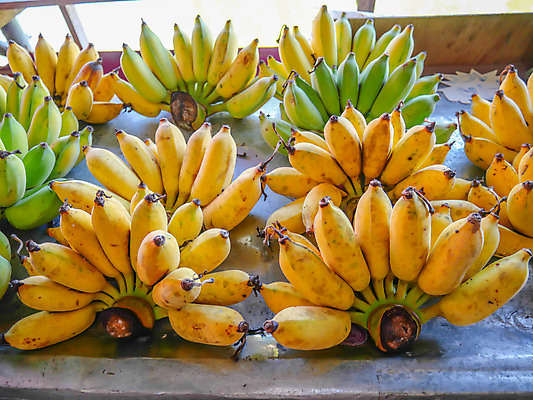 포토 JPG 해외이미지 식물 음식 농업 다이어트 과일 태국 자연 바나나 건강 사람없음 초록색 농장 노란색 신선 시장 달콤 다발 유기농 날것 내추럴 숙성 세련 해외202004 해외포토 웰빙 산업 아시아 컬러 맛 생태계 파일형식 이미지허브