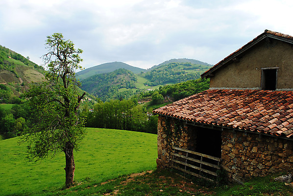 포토 JPG 해외이미지 유럽 여행 농업 자연 주택 풍경 사람없음 건물 농장 프랑스 시골 프랑스어 외양간 밭일 해외202004 해외포토 문자 건축물 나라 산업 생태계 파일형식 이미지허브
