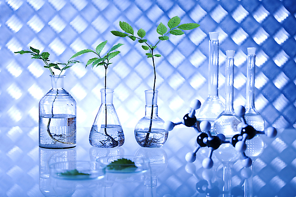 포토 JPG 해외이미지 식물 실내 실험 사람없음 액체 화학 실험실 플라스크 파란배경 비커 화학실험 분자구조모형 샬레 해외202004 해외포토 과학 백그라운드 실험기구 내부 파란색 모형 분자구조 파일형식 이미지허브