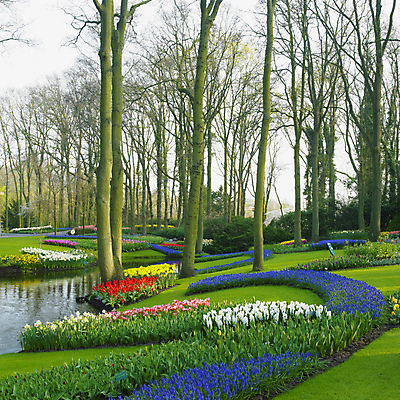 포토 JPG 해외이미지 나무 식물 외관 계절 공원 꽃 유럽 자연 사람없음 야외 정원 봄 튤립 개울 네덜란드 원예 수선화 내추럴 서유럽 히아신스 해외202004 해외포토 공공시설 나라 취미 강 생태계 파일형식 이미지허브