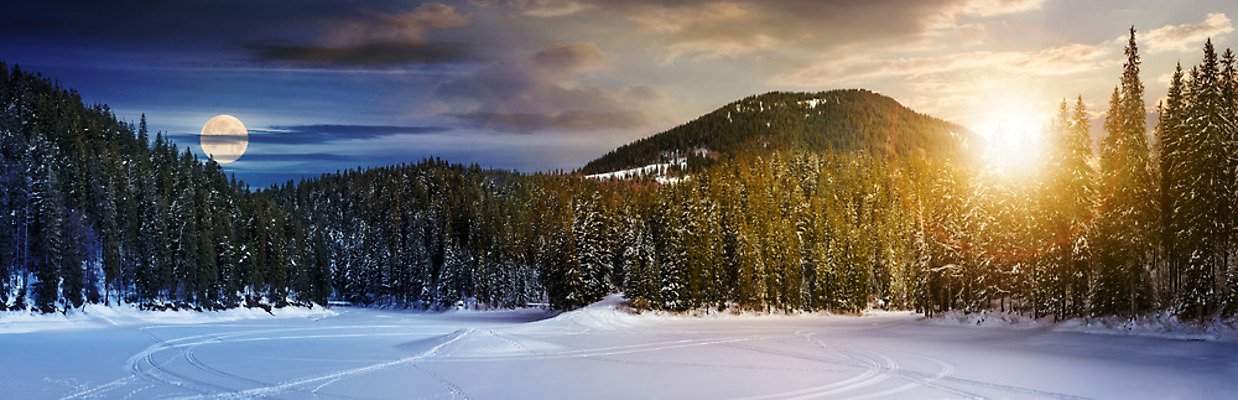 포토 JPG 해외이미지 나무 공원 별 호수 컨셉 겨울 자연 불꽃 파노라마 사람없음 야외 빛 햇빛 태양 환경 냉동 얼음 어둠 추위 광선 보름달 달 야간 숲 해군 우수 우크라이나 흥미 몽환 가문비나무 해외202004 영광군 해외포토 자연요소 식물 계절 공공시설 유럽 불 군대 촬영기법 전라남도 절기 생태계 파일형식 이미지허브