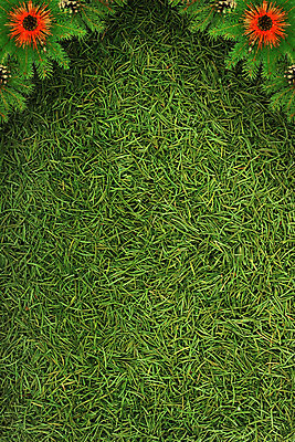 포토 JPG 해외이미지 나무 식물 백그라운드 크리스마스 겨울 자연 휴가 새해 프레임 사람없음 장식 초록색 축제 추위 흰색 나뭇가지 축하 눈송이 숲 정사각형 뼈대 상록수 침엽수 전나무 원뿔 내추럴 고립 구성 가문비나무 해외202004 해외포토 도형 계절 기념일 컬러 컨셉 눈_날씨 생태계 파일형식 이미지허브