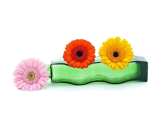 포토 JPG 해외이미지 식물 꽃 줄기 분홍색 백그라운드 오렌지 발렌타인데이 선물 사람없음 초록색 여름 컬러풀 노란색 꽃병 봄 벚꽃 흰색 신선 개화 닫기 큼 묘사 원예 데이지 꽃가루 거베라 고립 넘어짐 해외202004 해외포토 계절 컬러 과일 모션 데이이벤트 취미 크기 가루 파일형식 이미지허브