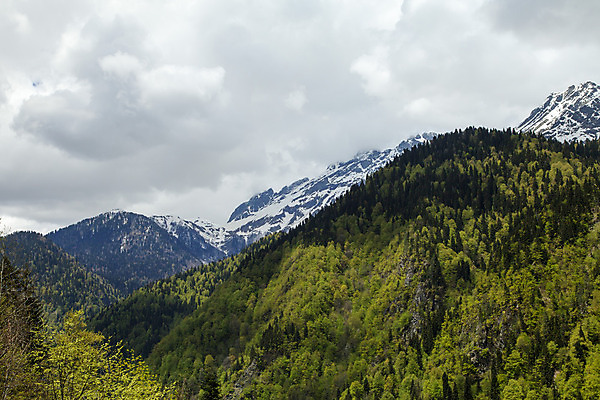 포토 JPG 해외이미지 나무 구름 계절 공원 유럽 호수 여행 백그라운드 캐나다 자연 하늘 산 풍경 사람없음 야외 초록색 물 여름 파란색 강 환경 계곡 맑음 봄 바위 흰색 시골 연기 숲 언덕 장면 내추럴 산악지대 전국 절정 콜로라도 해외202004 해외포토 자연요소 식물 공공시설 나라 컬러 북아메리카 날씨 미국 돌_바위 생태계 파일형식 이미지허브
