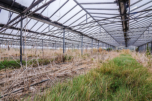 포토 JPG 해외이미지 벽 건축양식 창문 주택 이야기 사람없음 건물 탐험 역사 빌라 천연기념물 발견 떠남 무인 옛날 파멸 해외202004 해외포토 건축물 건축 컨셉 모션 파일형식 소멸 이미지허브