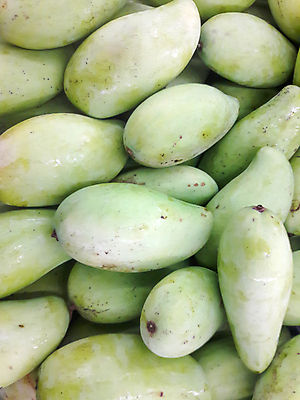 포토 JPG 해외이미지 아시아 음식 백그라운드 농업 다이어트 과일 자연 건강 사람없음 초록색 신선 그룹 시장 맛 유기농 날것 망고 내추럴 채식주의자 해외202004 해외포토 웰빙 나라 산업 컬러 컨셉 열대과일 생태계 채식 파일형식 이미지허브