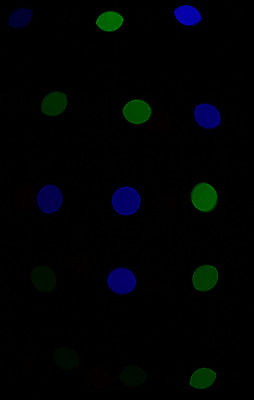 포토 JPG 해외이미지 백그라운드 추상 미술 사람없음 빛 흐름 에너지 매끈함 소프트포커스 가득함 광 엘리먼트 효과 해외202004 해외포토 컨셉 무늬 문화예술 촬영기법 감각 파일형식 이미지허브