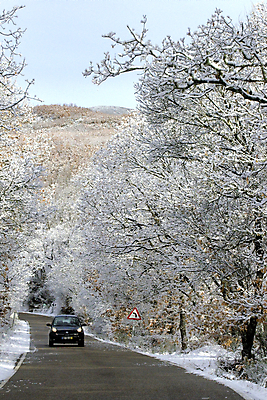 포토 JPG 해외이미지 나무 계절 공원 도로 길 겨울 자연 하늘 날씨 풍경 사람없음 야외 파란색 빛 냉동 추위 흰색 나뭇가지 시골 숲 서리 장면 방법 폭설 눈내림 해외202004 해외포토 식물 공공시설 컬러 교통시설 눈_날씨 자연재해 생태계 파일형식 이미지허브