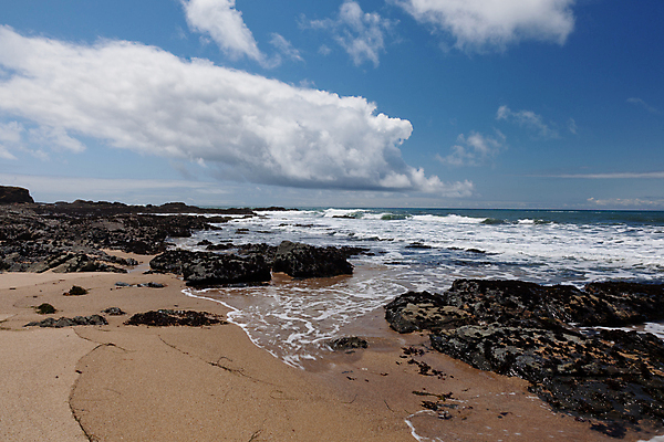 포토 JPG 해외이미지 주간 구름 해외풍경 바다 하늘 해변 사람없음 야외 미국 바위 캘리포니아 해외202004 해외포토 자연요소 해외 북아메리카 풍경 돌_바위 파일형식 이미지허브