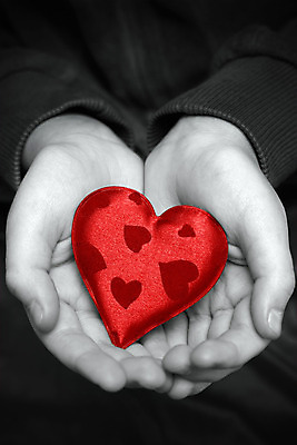 포토 JPG 해외이미지 모양 백인 1 커플 백그라운드 컨셉 손가락 휴가 아이디어 관리 손바닥 선물 사랑 사람 사람없음 빨간색 보라색 흰색 하트 잡기 심볼 슛 팔 고립 돌봄 해외202004 해외포토 서양인 손 감정 컬러 관계 모션 신체부위 파일형식 이미지허브