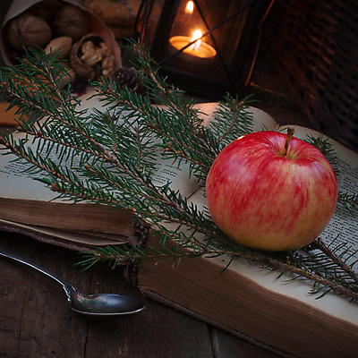 포토 JPG 해외이미지 나무 식물 교육 컨셉 크리스마스 겨울 학교 자연 산 따뜻함 사랑 미술 사람없음 목재 책 초록색 빛 갈색 우주 공백 수확 나뭇가지 등불 오픈 도서관 사과 스웨터 심볼 읽기 스위스 묘사 에코 시골집 복고 문학 페이지 시트 양모 모종 스칸디나비아 옛날 해외202004 해외포토 계절 기념일 감정 유럽 컬러 상의 농업 과일 재료 모션 문화예술 조명 주택 환경 직물 생태계 파일형식 이미지허브