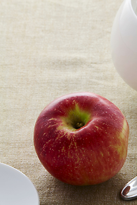 포토 JPG 해외이미지 음식 과일 자연 건강 사람없음 빨간색 활발 가을 직물 신선 거친 달콤 사과 삼베 상쾌 유기농 질감 날것 캔버스 섬유 숙성 채식주의자 해외202004 해외포토 웰빙 계절 감정 컬러 컨셉 맛 생태계 채식 파일형식 천_직물 이미지허브