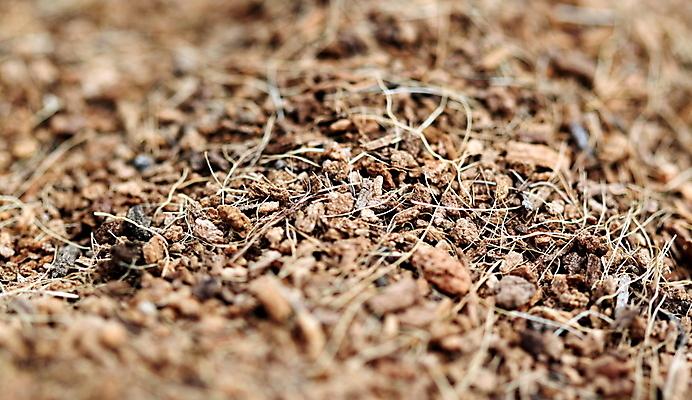 포토 JPG 해외이미지 지구 조각 백그라운드 패턴 농업 자연 표면 추상 바닥 건조 사람없음 목재 갈색 환경 정원 흙 손상 나뭇가지 거친 유기농 원예 질감 먼지 나무껍질 흙더미 낭비 내추럴 땅바닥 무생채 개조 해외202004 해외포토 나무 웰빙 산업 컬러 컨셉 무늬 재료 취미 껍질 생태계 파일형식 더미 이미지허브