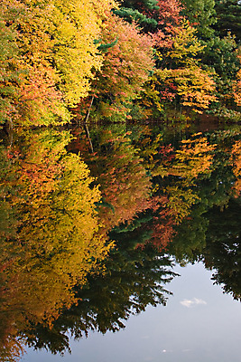 포토 JPG 해외이미지 나무 계절 공원 여행 잎 오렌지 자연 잉글랜드 새로움 풍경 사람없음 야외 빨간색 초록색 물 반사 노란색 평화 환경 미국 침묵 활발 거울 젖음 가을 나뭇가지 시간 숲 11월 장면 북쪽 10월 내추럴 강렬 해외202004 해외포토 자연요소 식물 공공시설 컬러 컨셉 북아메리카 과일 영국 소리 날짜 방향 생태계 파일형식 이미지허브