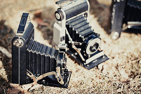 포토 JPG 해외이미지 디자인 백그라운드 사람없음 수확 필름 오브젝트 복고 셔터 스타일 해외202004 해외포토 농업 파일형식 이미지허브