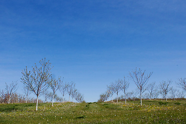 포토 JPG 해외이미지 나무 농업 사람없음 농장 사과 농부 과수원 방앗간 밭일 해외202004 해외포토 식물 직업 산업 과일 파일형식 이미지허브