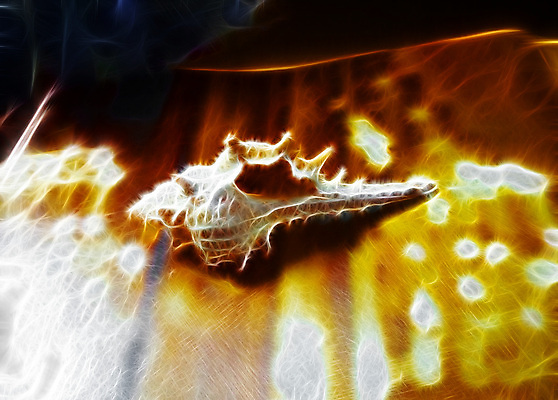 포토 JPG 해외이미지 디자인 종이 모래 바다 여행 백그라운드 패턴 일러스트 자연 벽지 추상 휴가 조개 수채화 나선형 미술 사람없음 그래픽 물 여름 파란색 빛 컬러풀 갈색 노란색 수확 껍질 흰색 소라 그림 질감 타이틀 앵무조개 엘리먼트 해외202004 해외포토 자연요소 계절 컬러 무늬 농업 문화예술 어패류 생태계 파일형식 이미지허브