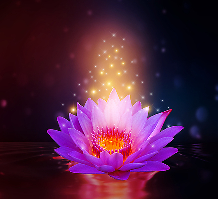 포토 JPG 해외이미지 식물 꽃잎 꽃 호수 선 분홍색 백그라운드 잎 꽃무늬 자연 표면 추상 휴식 연꽃 동양인 사람없음 장식 빨간색 초록색 물 여름 파란색 빛 약 반사 노란색 정원 침묵 봄 벚꽃 흰색 연못 개화 우아함 백합 명상 싱글 내추럴 이국적 해외202004 해외포토 자연요소 계절 컬러 컨셉 무늬 의학 인종 소리 생태계 파일형식 이미지허브