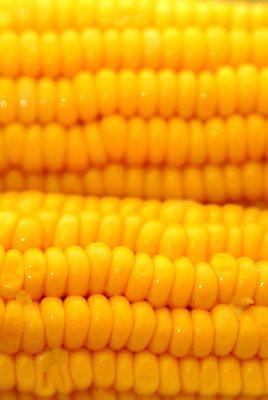 포토 JPG 해외이미지 음식 다이어트 채소 자연 건강 옥수수 요리 사람없음 장식 노란색 파티 주방 식당 요리사 식사 신선 시장 황금 닫기 달콤 맛 그릴 만족 유기농 내추럴 가벼움 채식주의자 해외202004 해외포토 직업 웰빙 감정 컬러 컨셉 모션 주방용품 곡류 이벤트 상점 무게 생태계 채식 파일형식 이미지허브